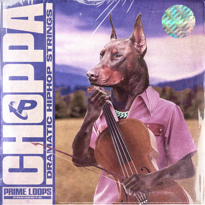 CHOPPA: Dramatic Hip Hop Strings