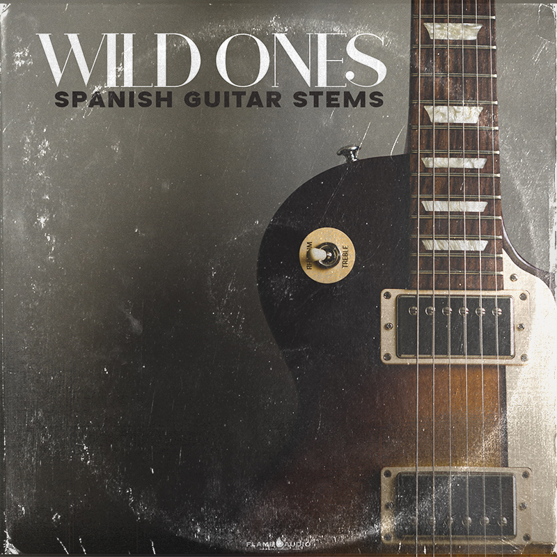 Wild Ones: Hip Hop + Afrobeats Guitars