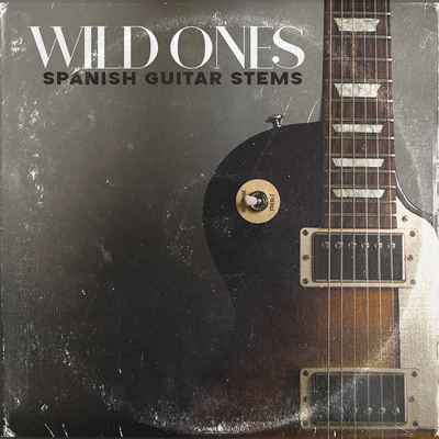 Wild Ones: Hip Hop + Afrobeats Guitars