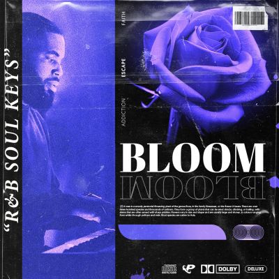 BLOOM: R&B Soul Keys [Free Taster Pack]