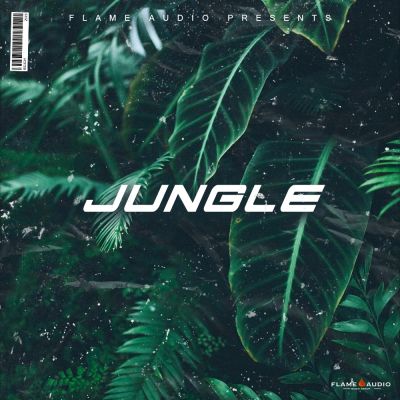 Jungle: Lost Hip Hop Melodies