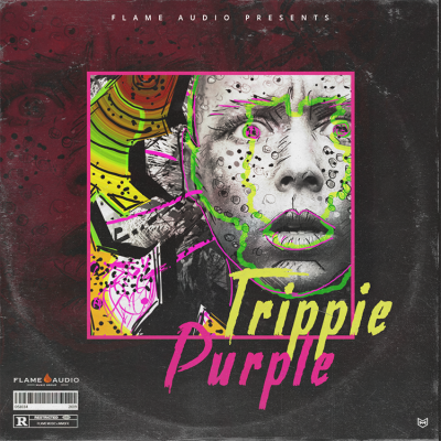 Trippie Purple: Hip Hop Melodies