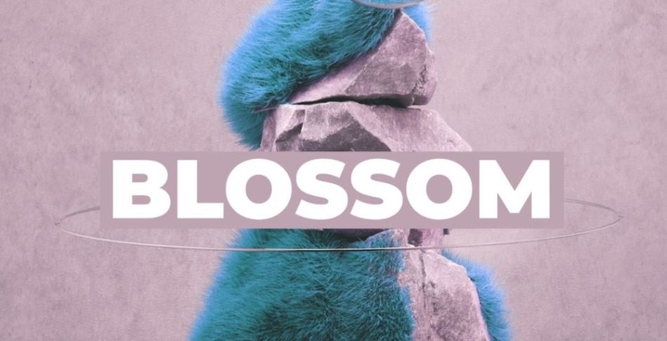Blossom: Cinematic Soundscapes