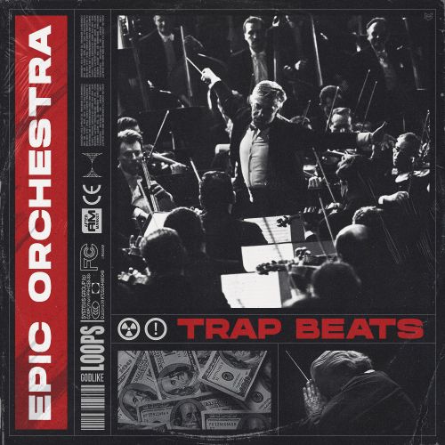 Epic Orchestra | Trap Beats | Loops