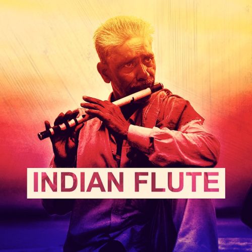 indian flute loops free